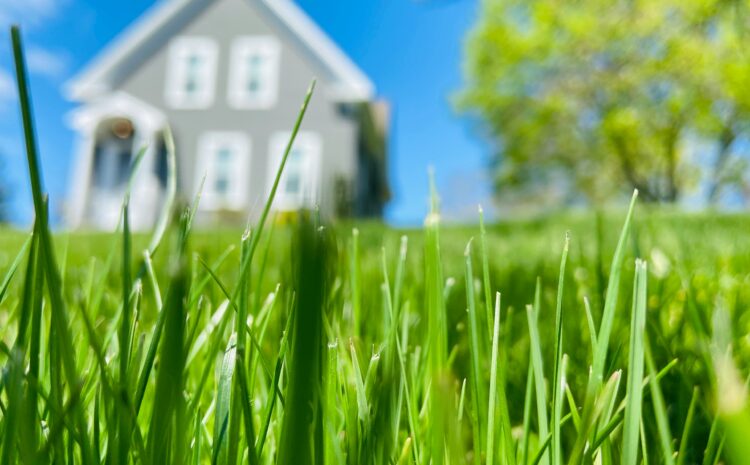  Lawn Care Business Insurance